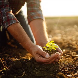 Going green – The financial benefits of investing in a cleaner future